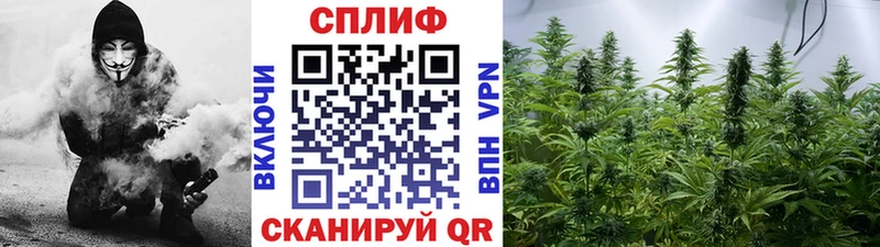 Как найти наркотики Серов Амфетамин  МЕТАМФЕТАМИН  hydra как зайти  ГАШ  A-PVP 