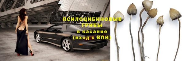 крисы Покачи