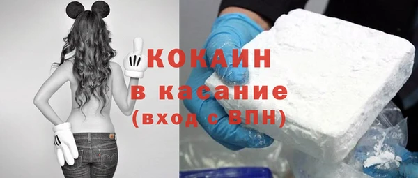 индика Покровск