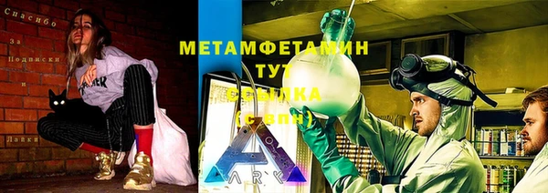 индика Покровск