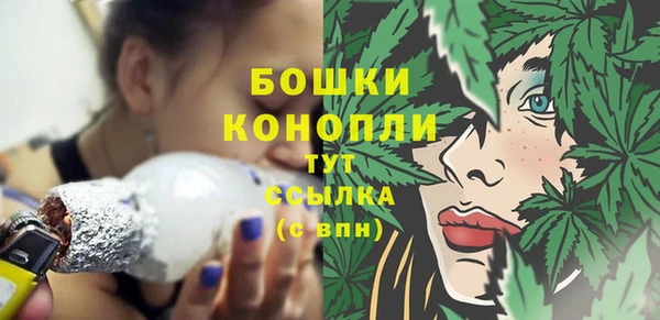 крисы Покачи
