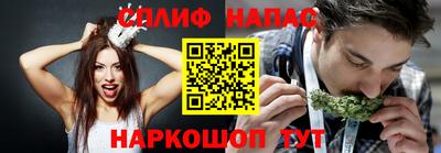 mdpv Заводоуковск