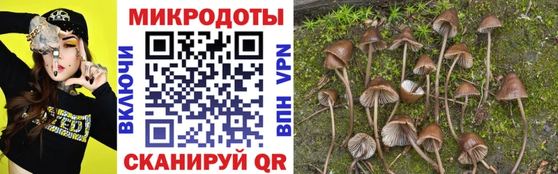 купить наркотики цена  Серов  Псилоцибиновые грибы MAGIC MUSHROOMS 